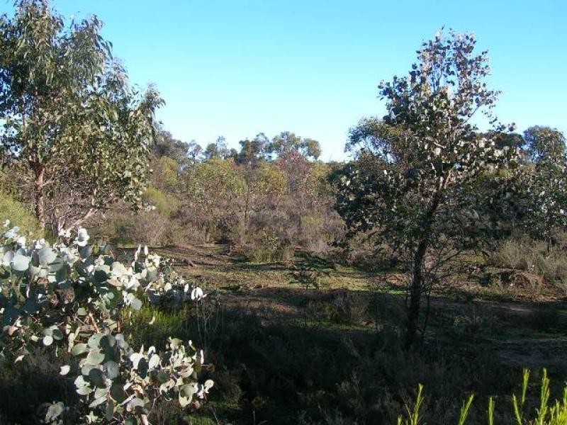 252 Basso Rd Emu Via, St Arnaud VIC 3478