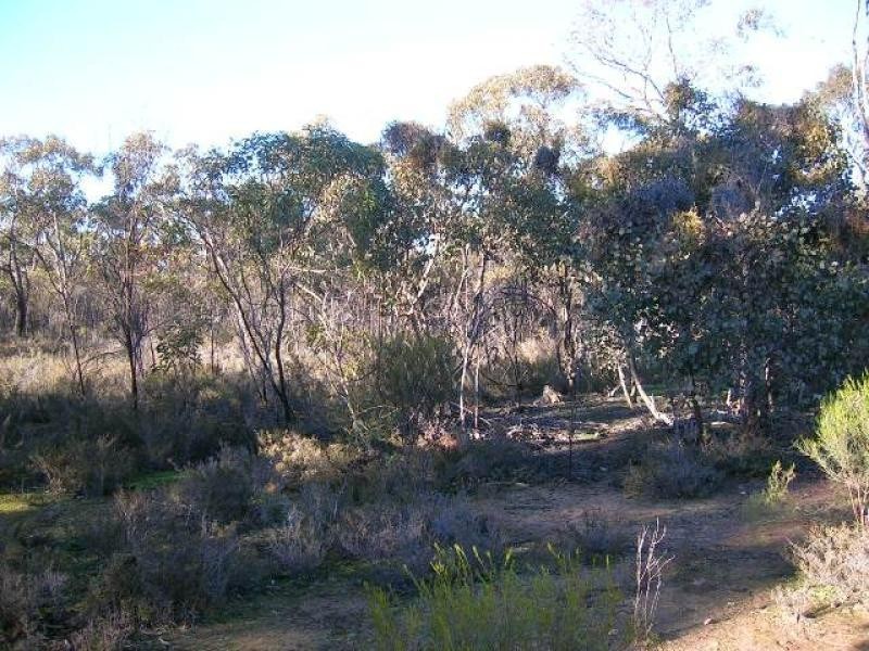 252 Basso Rd Emu Via, St Arnaud VIC 3478