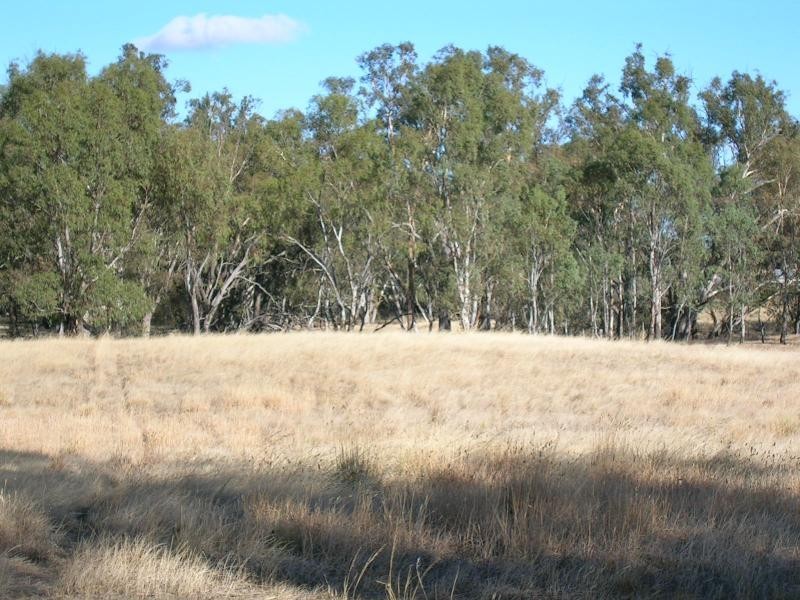 29 Carapooee – Kooreh Road, Kooreh VIC 3478