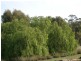 St Arnaud VIC 3478