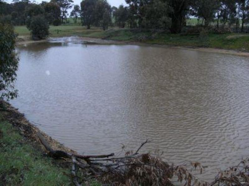 2113 St Arnaud Dunolly Rd, Emu, St Arnaud VIC 3478