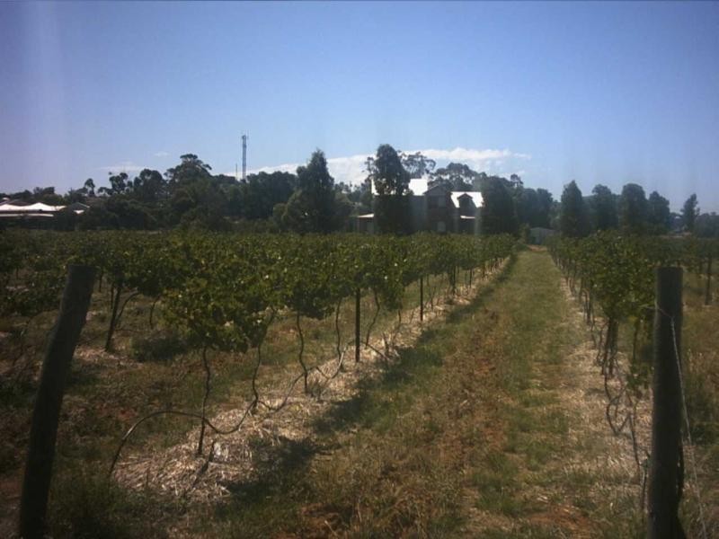 28 Grandview Street, Wycheproof VIC 3527