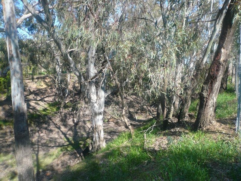 210 Cossar’s Road, Wycheproof, Wycheproof VIC 3527