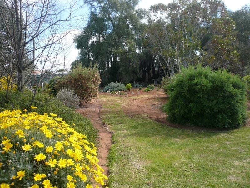 33 Camp Street, Wycheproof VIC 3527