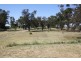 3767 Wimmera Highway, Marnoo VIC 3387