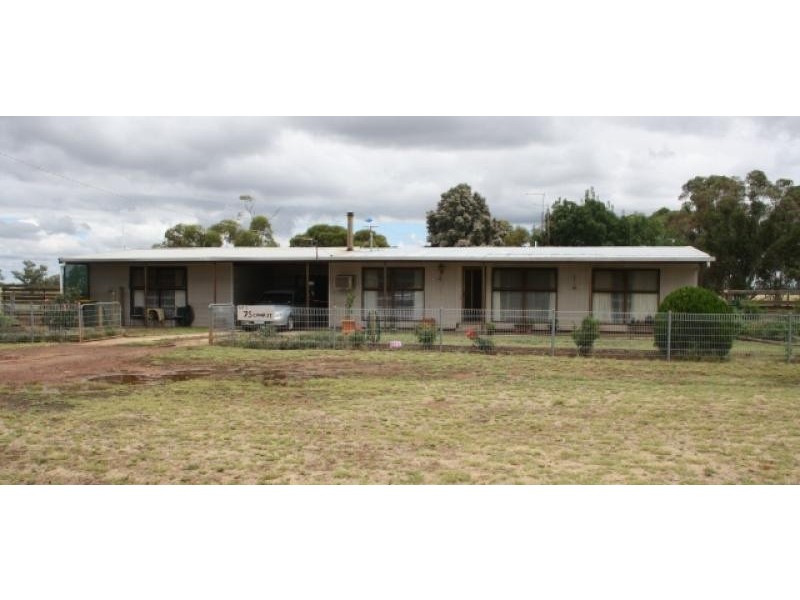 75 Camp Street, Watchem VIC 3482
