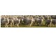 Buckrabanyule VIC 3525