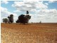Ouyen VIC 3490