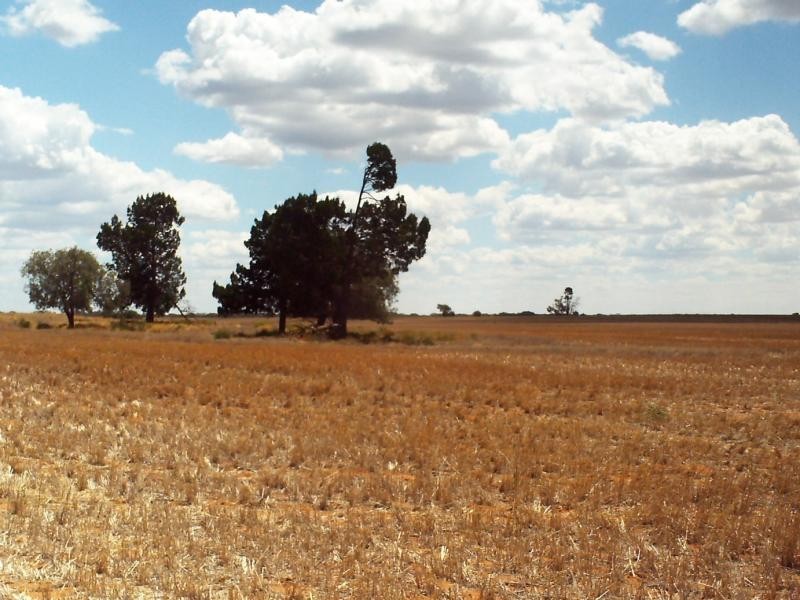 Ouyen VIC 3490