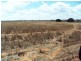 Ouyen VIC 3490