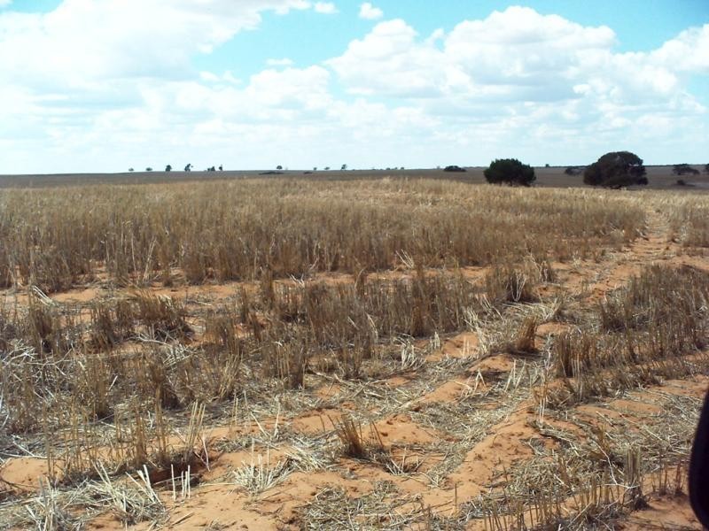 Ouyen VIC 3490