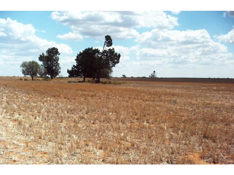 Ouyen VIC 3490