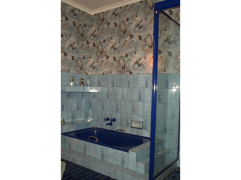 47 Roy St, Jeparit VIC 3423