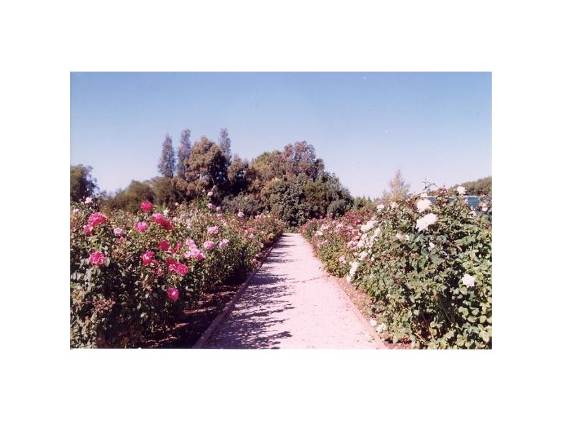 245 Church Road, Woorinen, Swan Hill VIC 3585