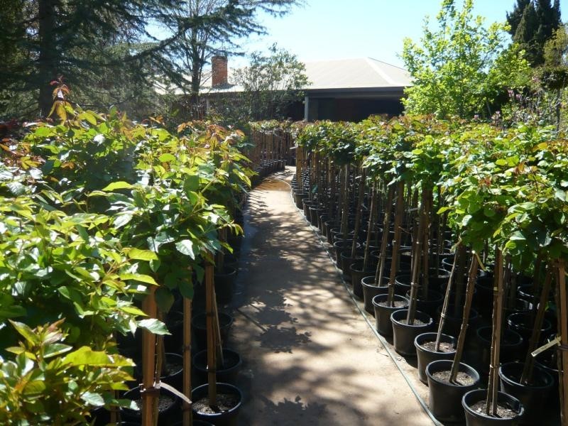 245 Church Road, Woorinen, Swan Hill VIC 3585