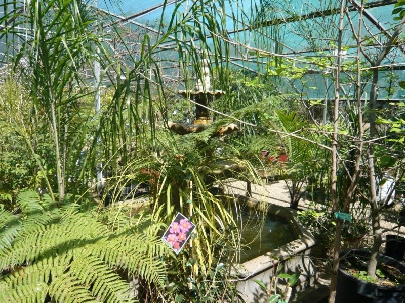 245 Church Road, Woorinen, Swan Hill VIC 3585