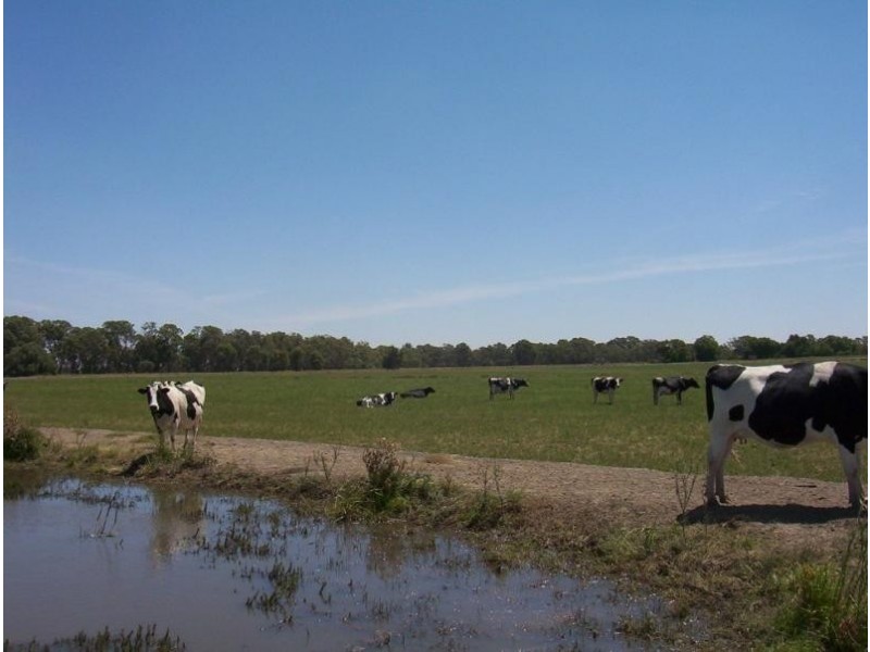 216 PENTAL ISLAND ROAD, Swan Hill VIC 3585