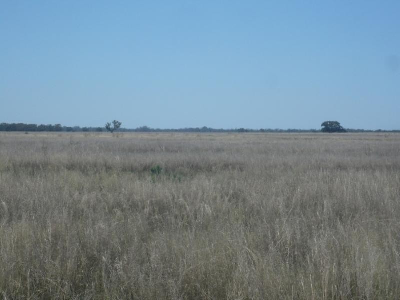 Swan Hill VIC 3585