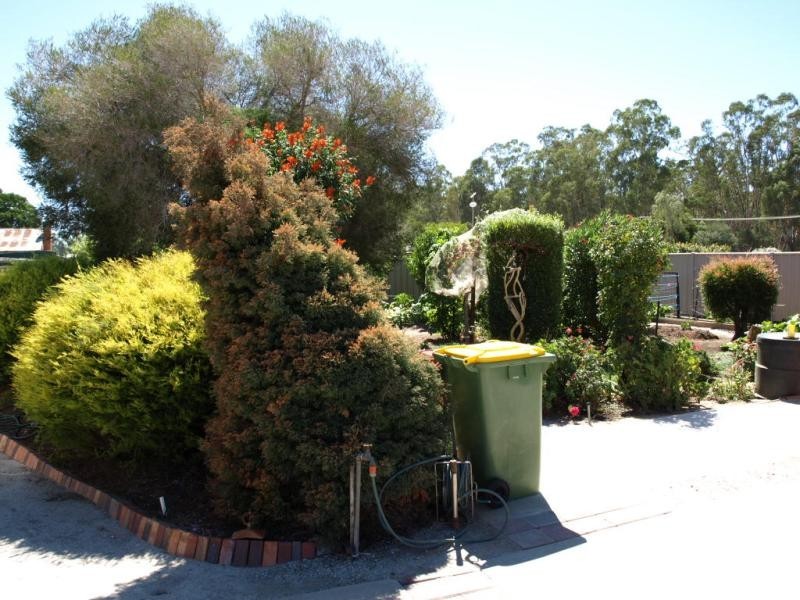 51 Main Street, Koondrook VIC 3580