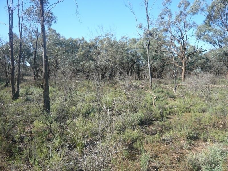 6370 Murray Valley Highway, Kenley VIC 3597