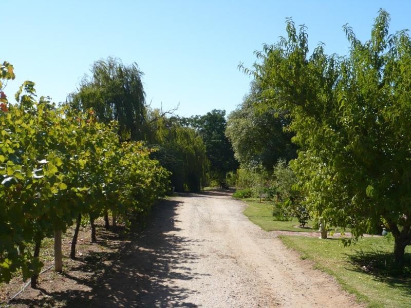 3094 Murray Valley Highway, Nyah VIC 3594