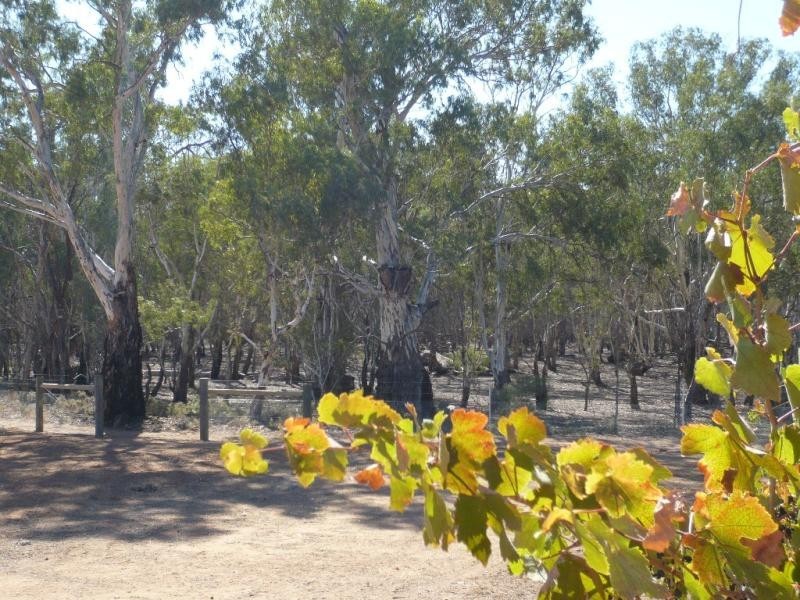 3094 Murray Valley Highway, Nyah VIC 3594