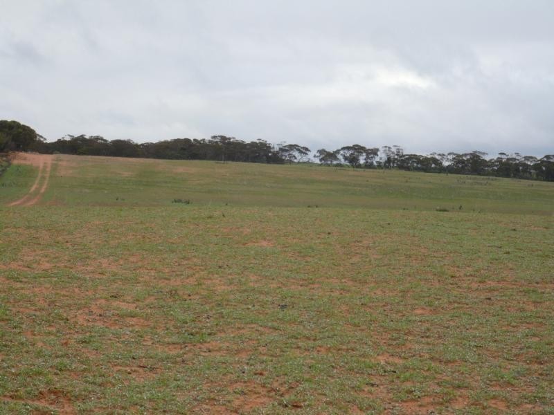 5839 Robinvale Sea Lake  Road, Manangatang VIC 3546