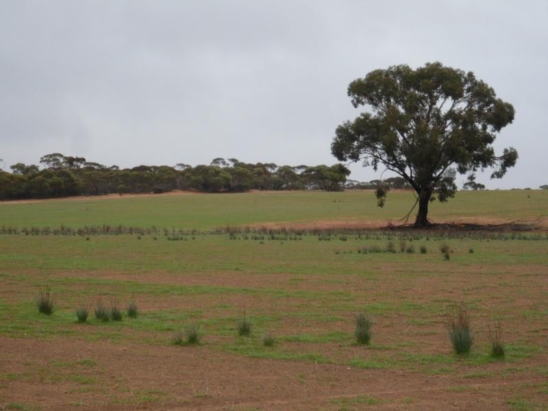 5839 Robinvale Sea Lake  Road, Manangatang VIC 3546