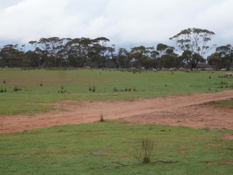 5839 Robinvale Sea Lake  Road, Manangatang VIC 3546