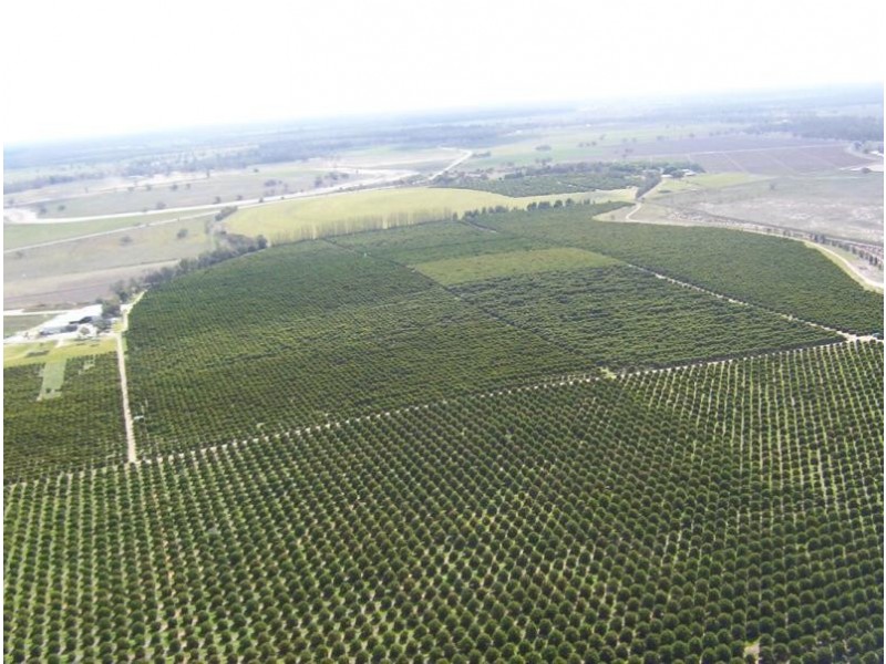 401 Gonn Road, Barham NSW 2732