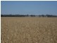 Quambatook VIC 3540