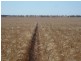 Quambatook VIC 3540