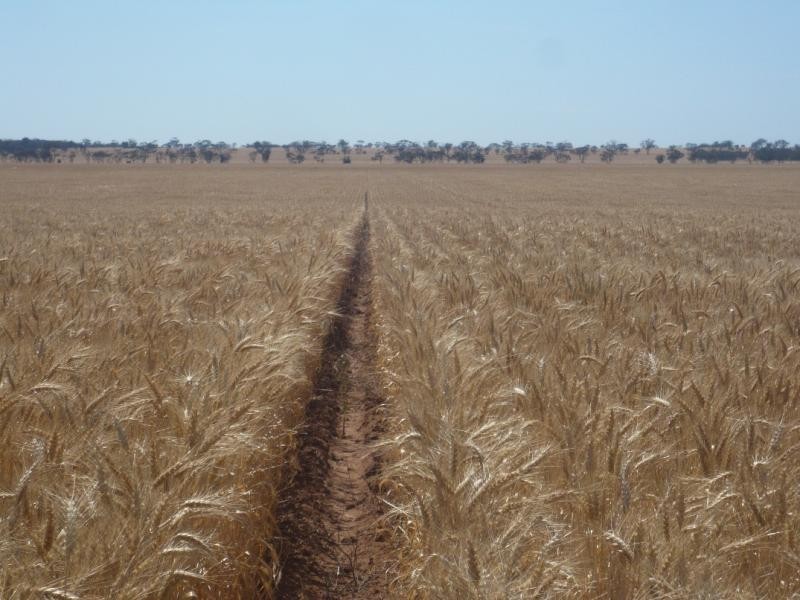 Quambatook VIC 3540