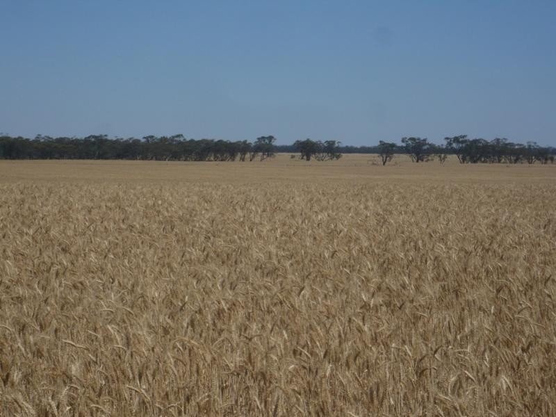 Quambatook VIC 3540