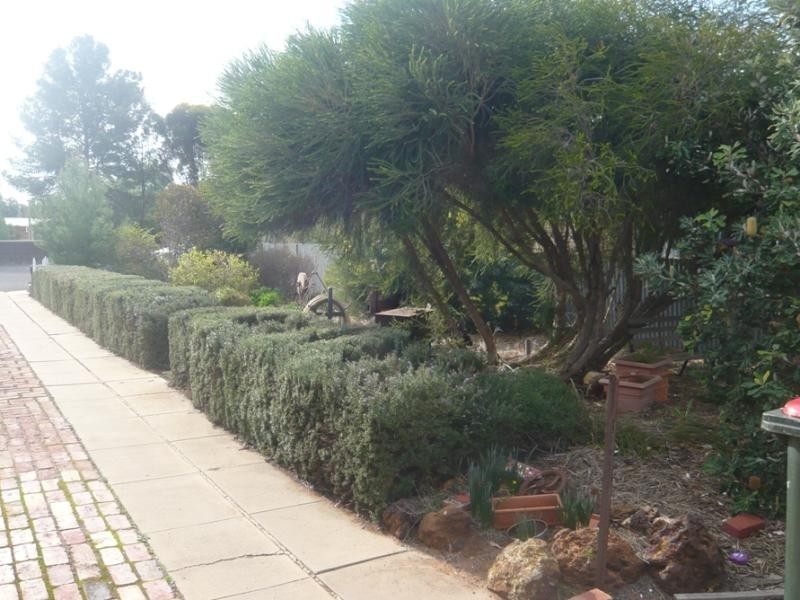 13 Barry Street, Culgoa VIC 3530