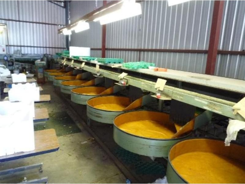 432 Cumnock Road, Tresco West VIC 3584