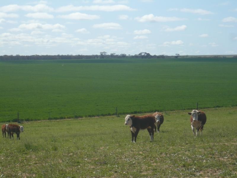 32 Dyers Road, Turriff VIC 3488