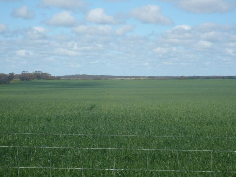 32 Dyers Road, Turriff VIC 3488