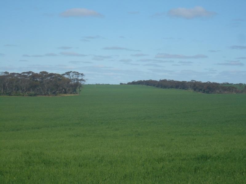 32 Dyers Road, Turriff VIC 3488