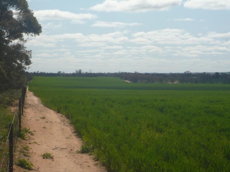 32 Dyers Road, Turriff VIC 3488