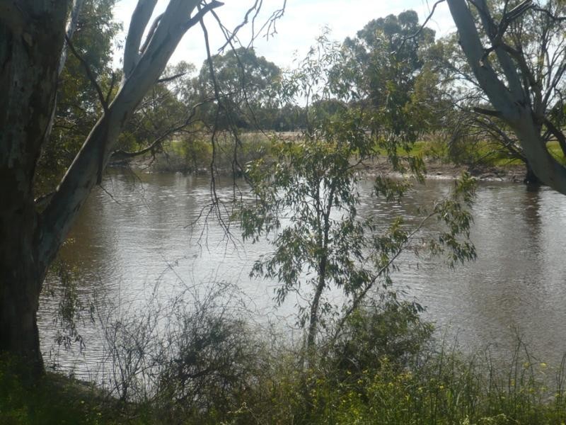 18 El Alamein Ave, Swan Hill VIC 3585