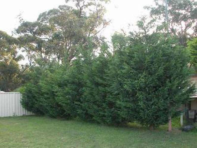 40 SCOTT STREET, Shoalhaven Heads NSW 2535