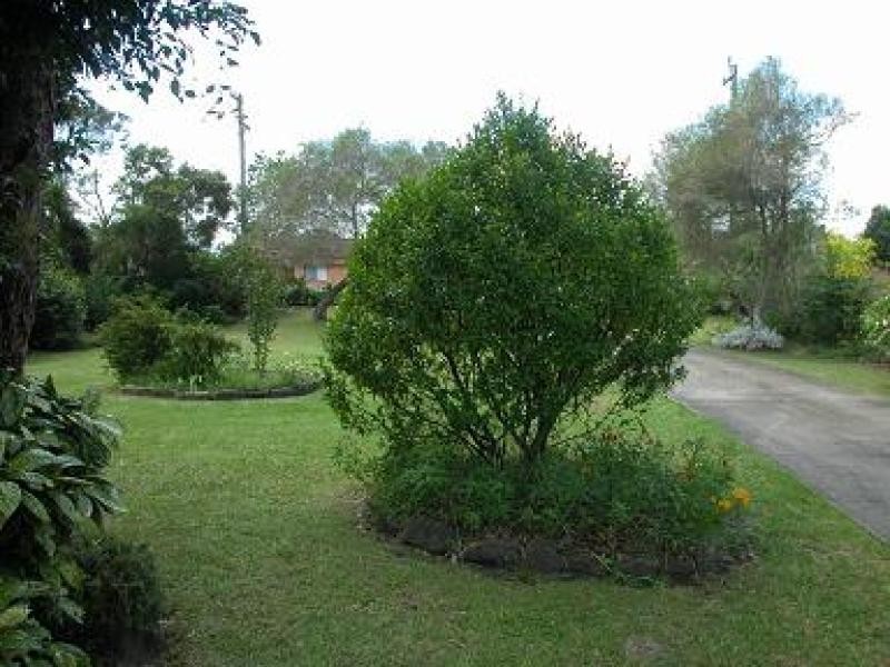 11 Mathews Street, Shoalhaven Heads NSW 2535