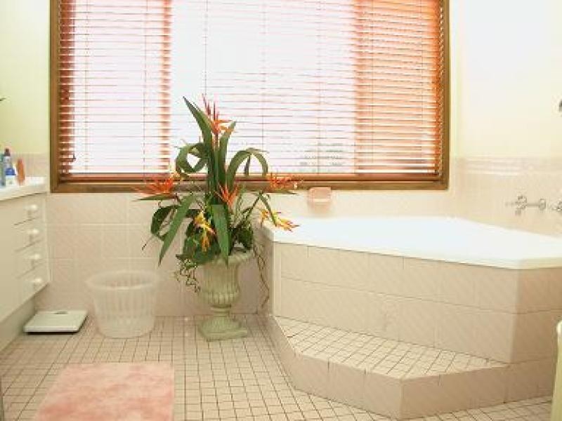 45 Jerry Bailey Road, Shoalhaven Heads NSW 2535
