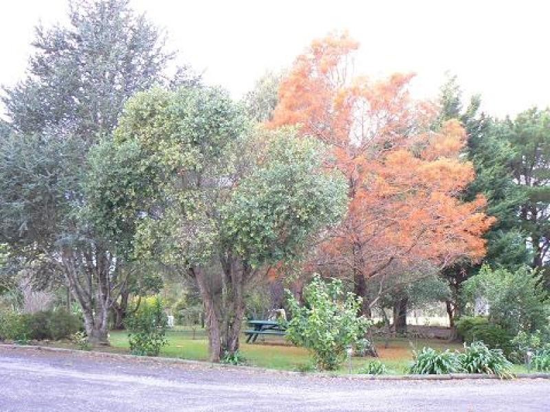 131 Coolangatta Road, Berry NSW 2535