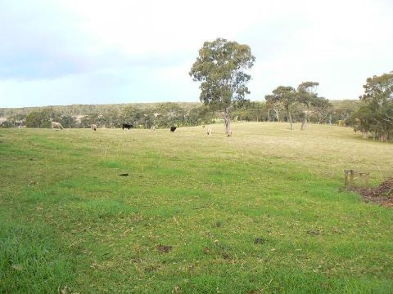 131 Coolangatta Road, Berry NSW 2535