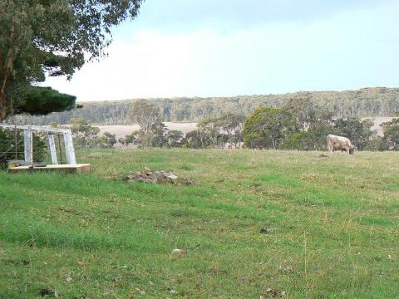 131 Coolangatta Road, Berry NSW 2535