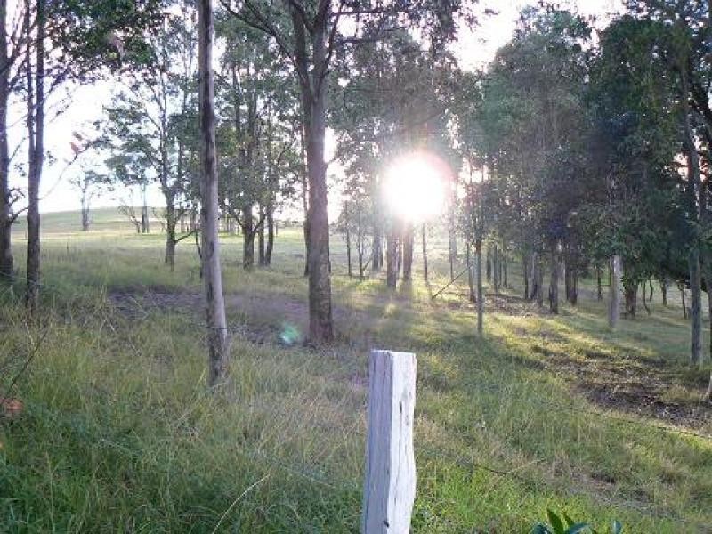 131 Coolangatta Road, Berry NSW 2535