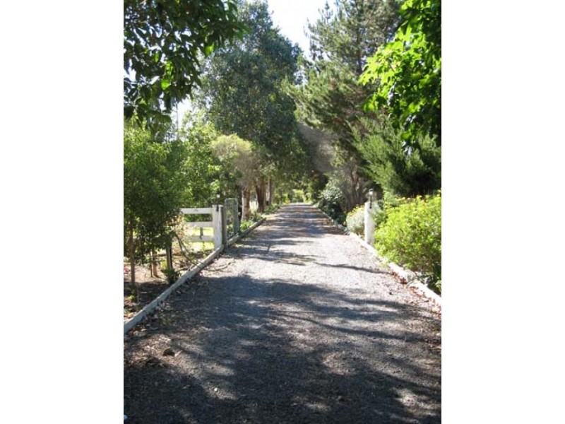 131 Coolangatta Road, Berry NSW 2535