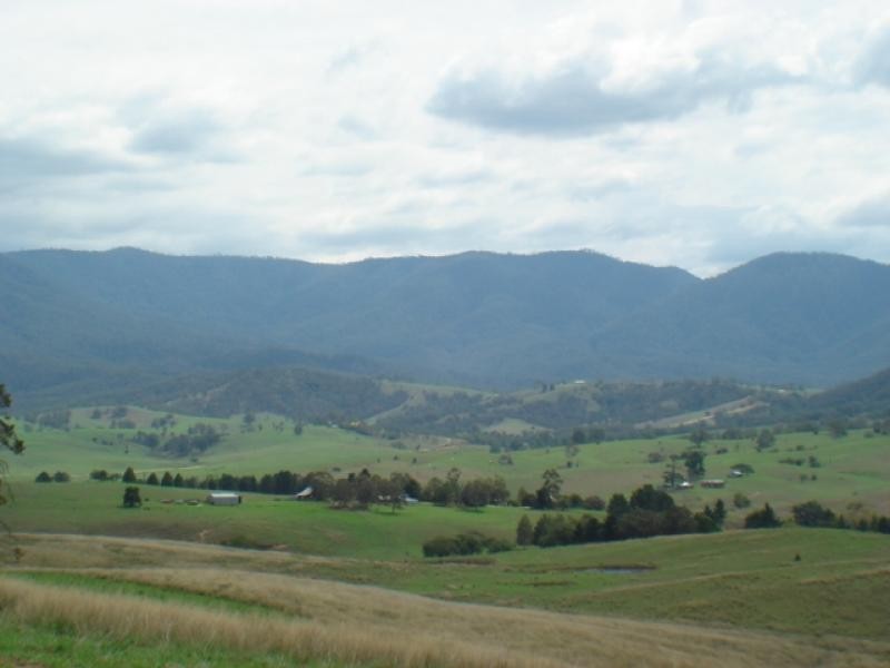 Bemboka NSW 2550